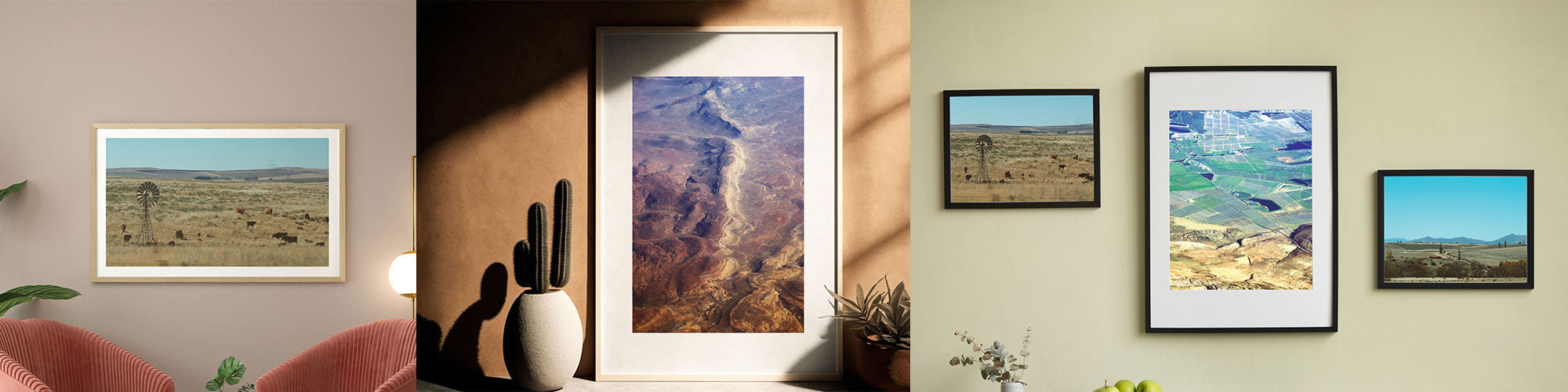 Photographs