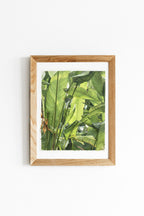 Forest #1 - Shadows of Tropics