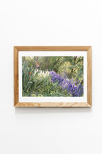 Forest #6 - Purple Foliage